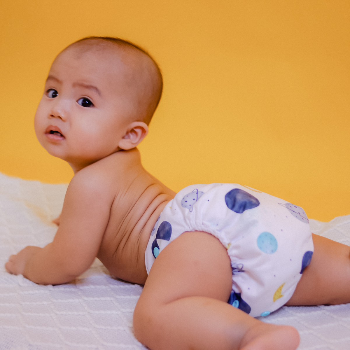 Polar Bear - Meenie & Co 2.0 Cloth Diaper