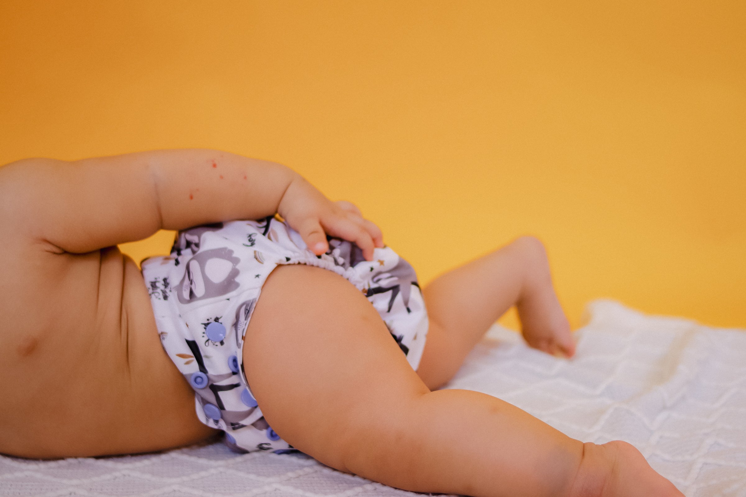 Peach Vehicles - Meenie & Co 2.0 Cloth Diaper